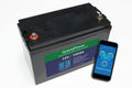12V 100Ah (100A BMS) LiFePO4 batteri m/APP overvågning batteri – 2 stk. indgår i 200Ah-pakken