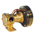 Impeller pumper m/magnet kobling 1" – Magnetpumpe 1" 12V