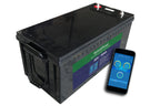48 V 50 Ah LiFePO₄ Batteri med Bluetooth & BMS – Kraftfuld Energiløsning - SejlStrøm