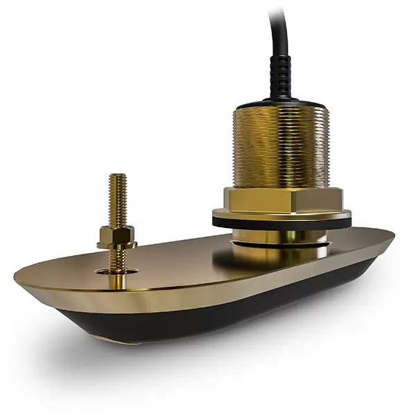 Raymarine RV-200 transducer